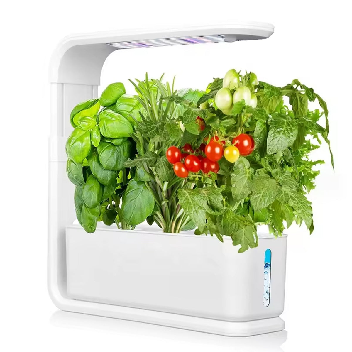 GreenKixa Indoor Garden with 15W LED Grow Light