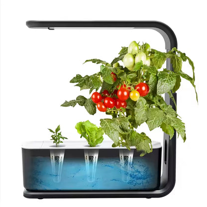 GreenKixa Indoor Garden with 15W LED Grow Light