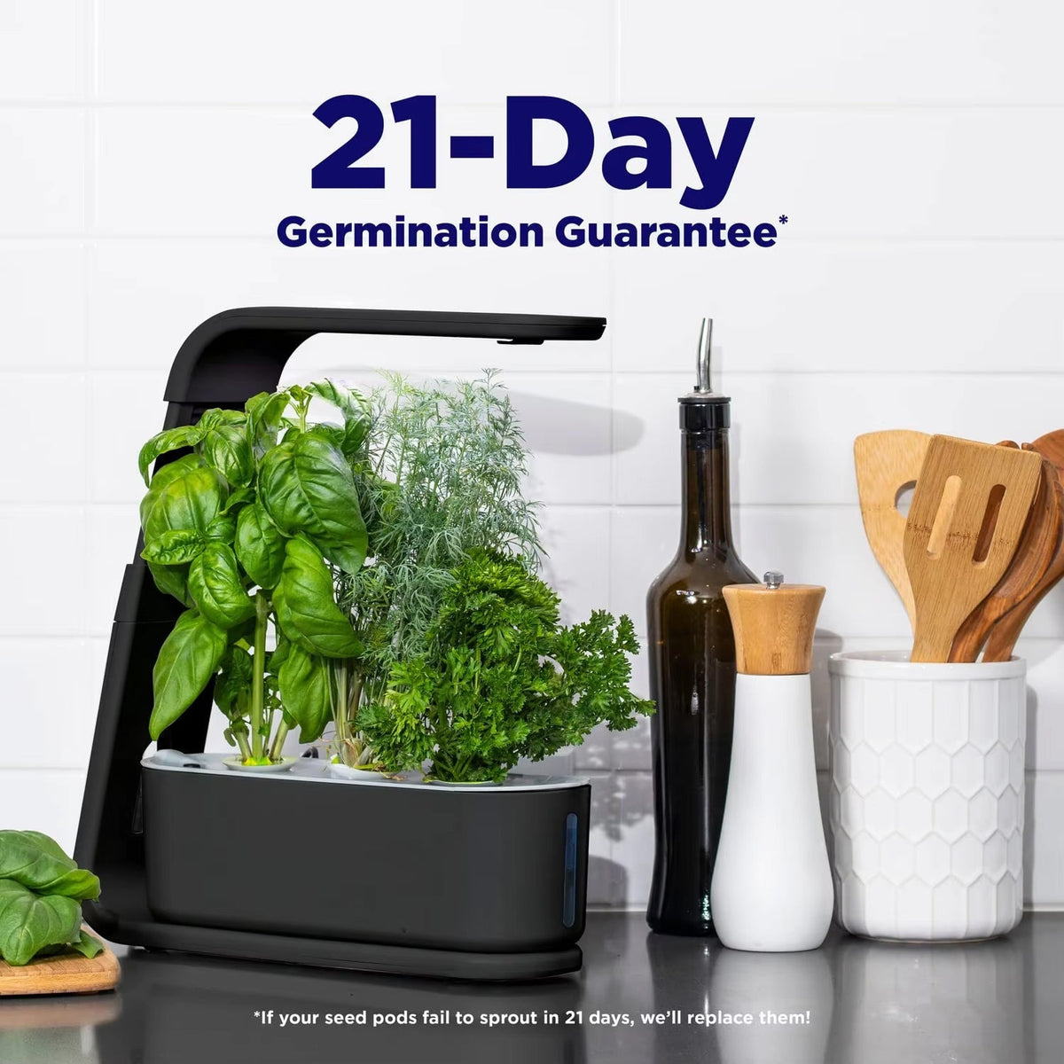 GreenKixa Indoor Garden with 15W LED Grow Light