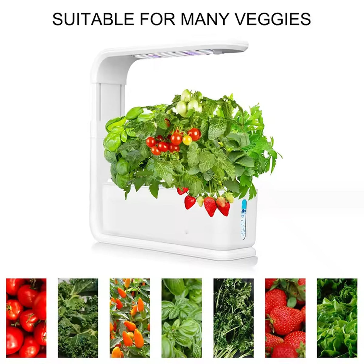 GreenKixa Indoor Garden with 15W LED Grow Light