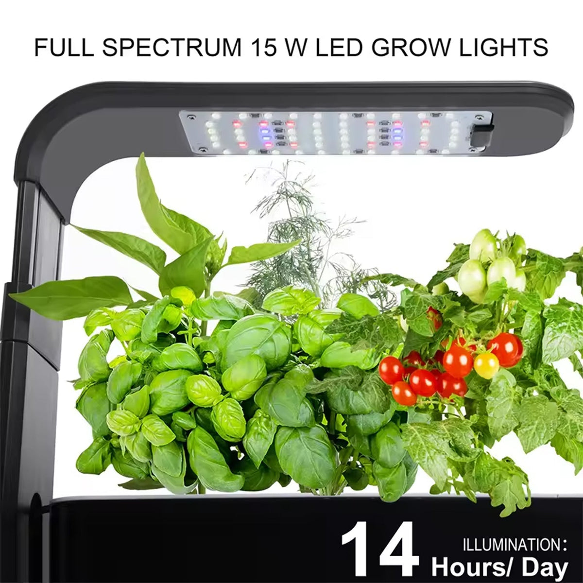 GreenKixa Indoor Garden with 15W LED Grow Light