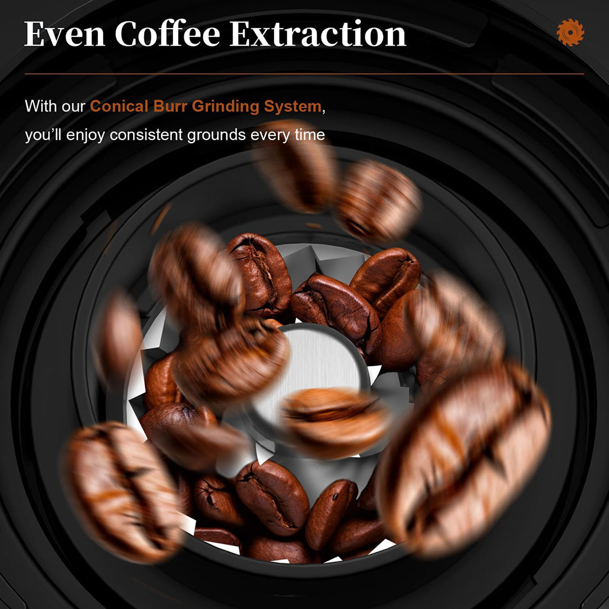 NeadGrint 25-Setting Conical Burr Coffee Grinder with LCD Touchscreen