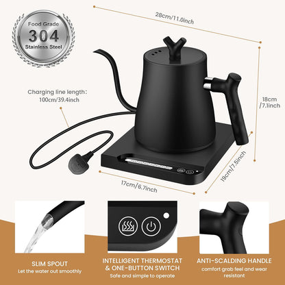 NisFlume Electric Gooseneck Kettle with Temperature Control & 304 Stainless Steel