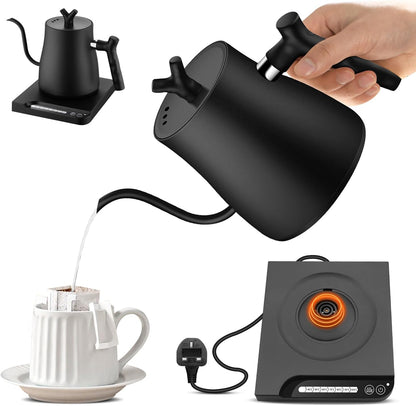 NisFlume Electric Gooseneck Kettle with Temperature Control & 304 Stainless Steel