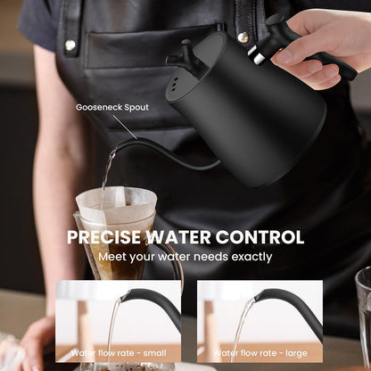 NisFlume Electric Gooseneck Kettle with Temperature Control & 304 Stainless Steel