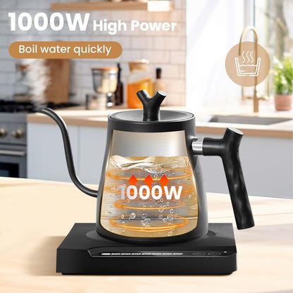 NisFlume Electric Gooseneck Kettle with Temperature Control & 304 Stainless Steel