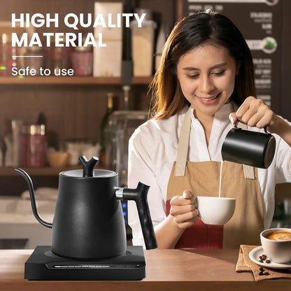 NisFlume Electric Gooseneck Kettle with Temperature Control & 304 Stainless Steel
